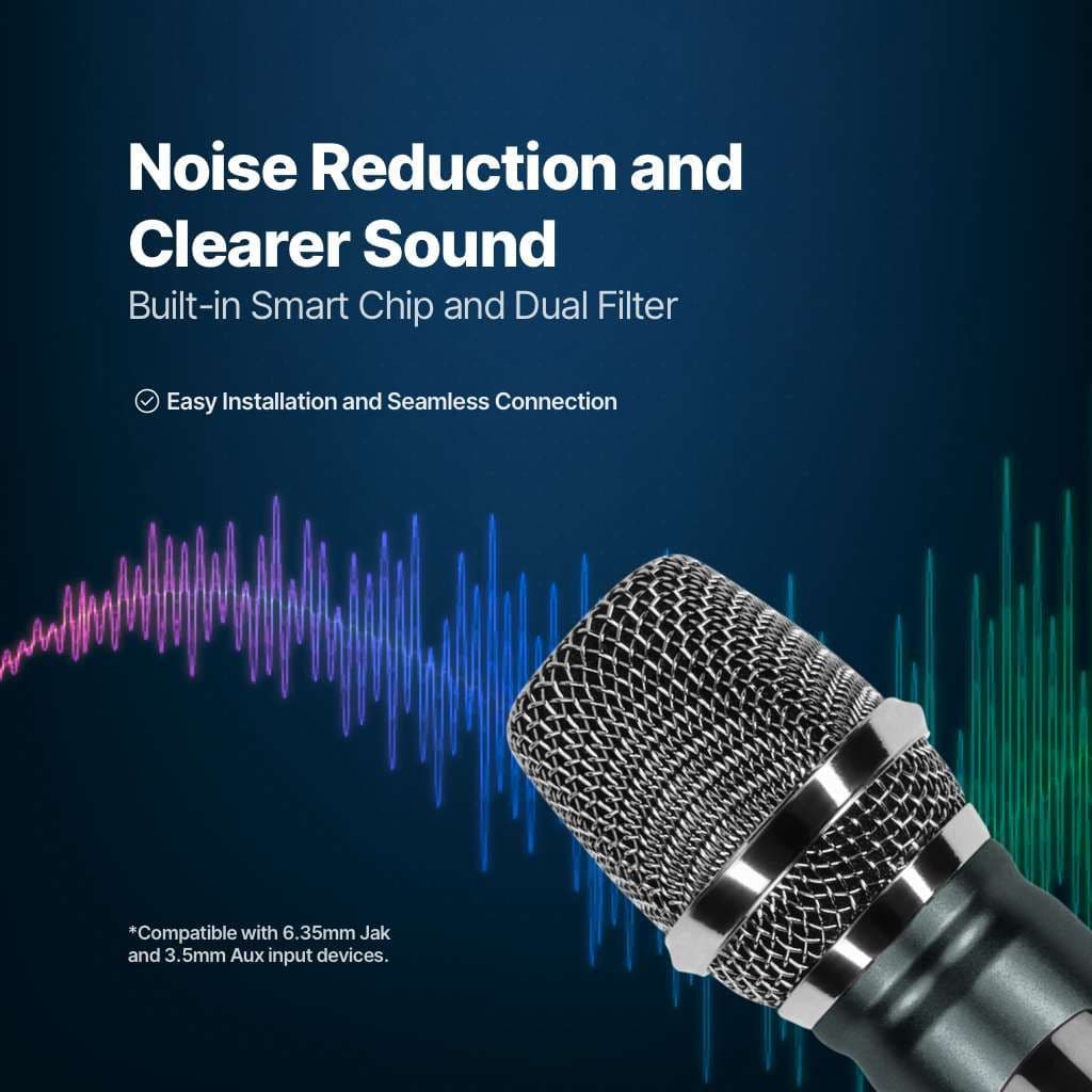 Wireless Dual Microphone System