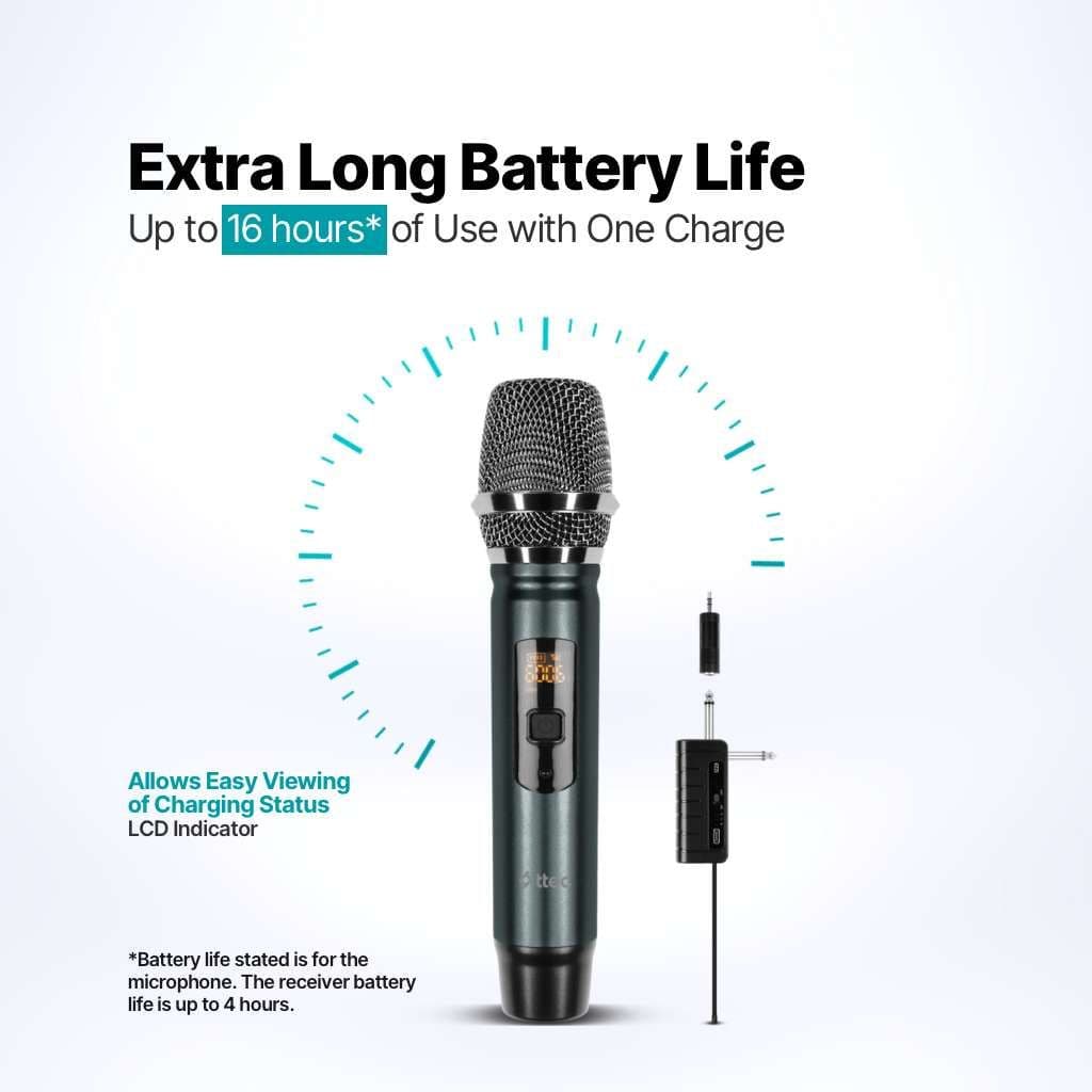Wireless Dual Microphone System