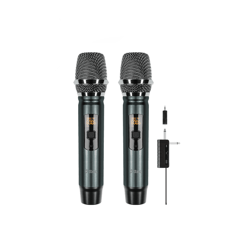 Wireless Dual Microphone System