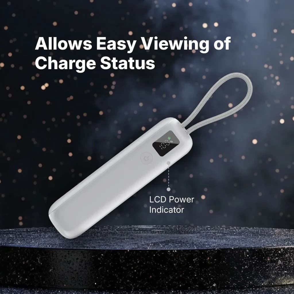 ReCharger Pro LCD